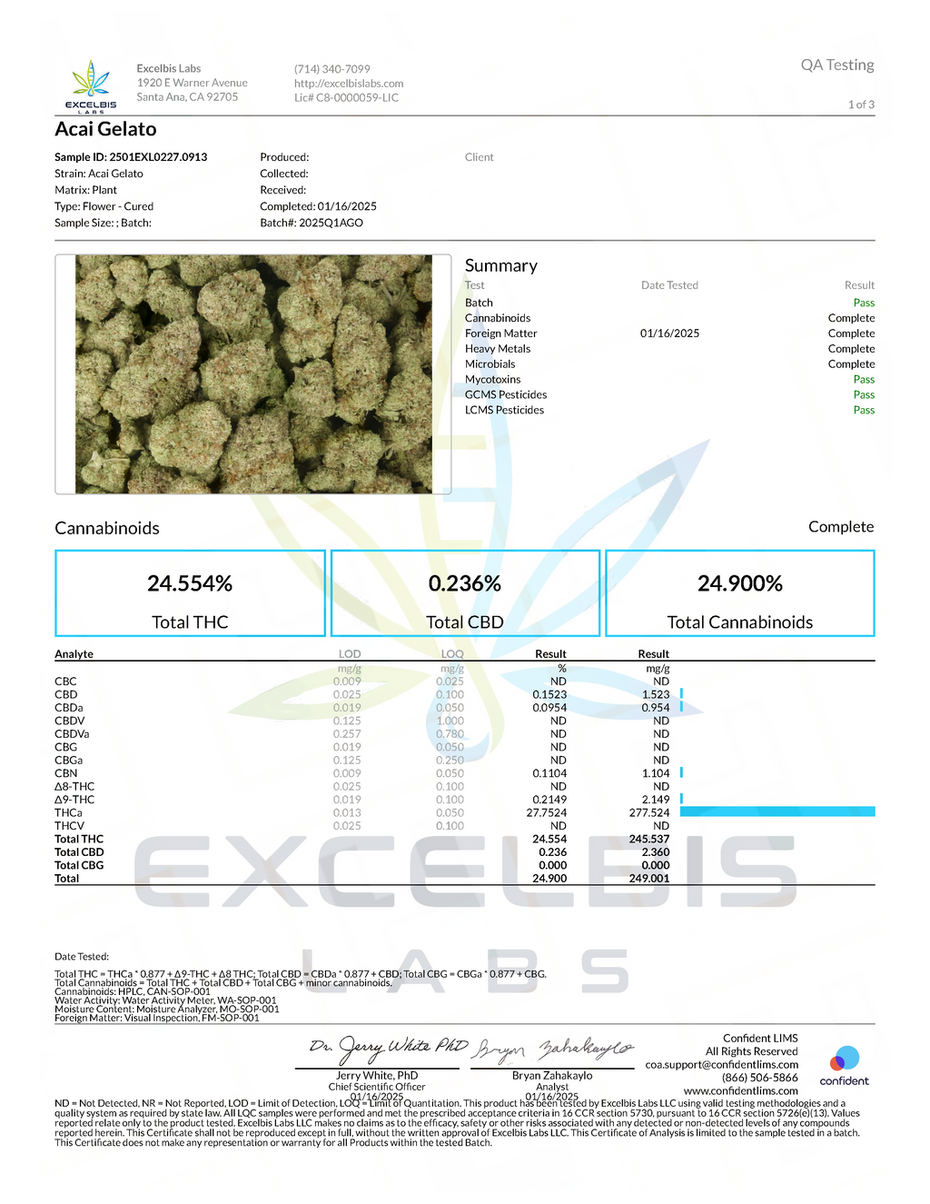 Acai Gelato - Sativa