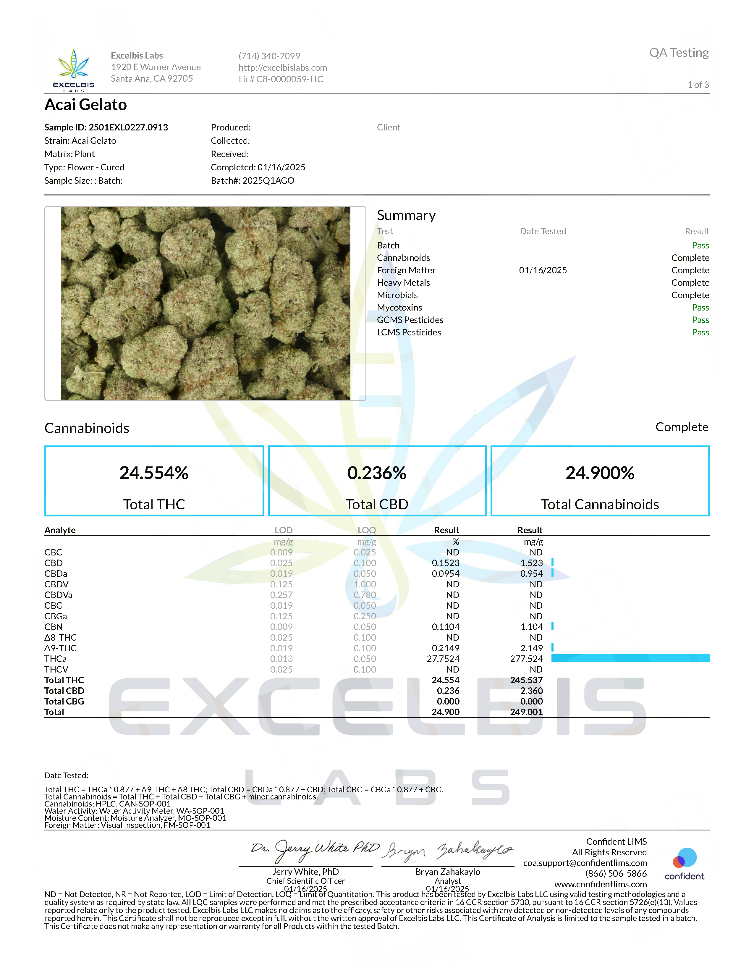 Acai Gelato - Sativa