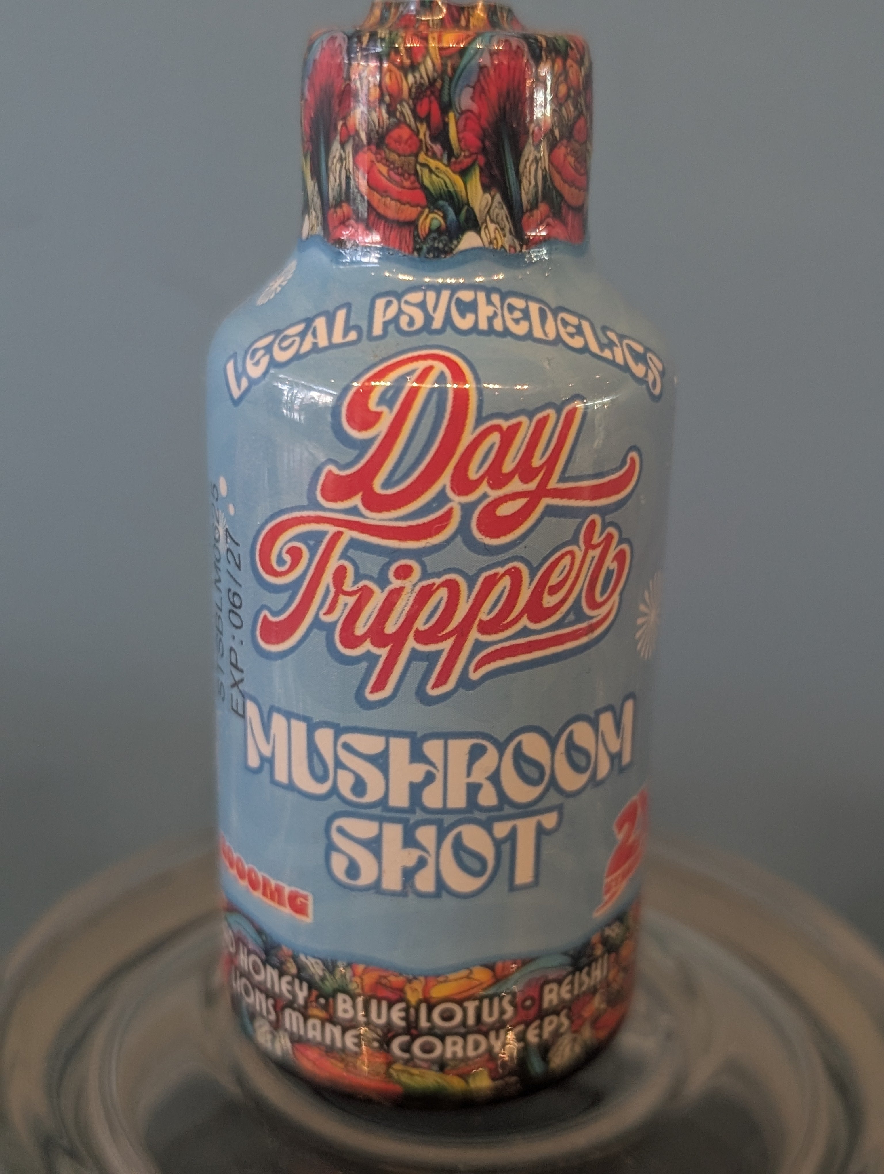 Day tripper Shots