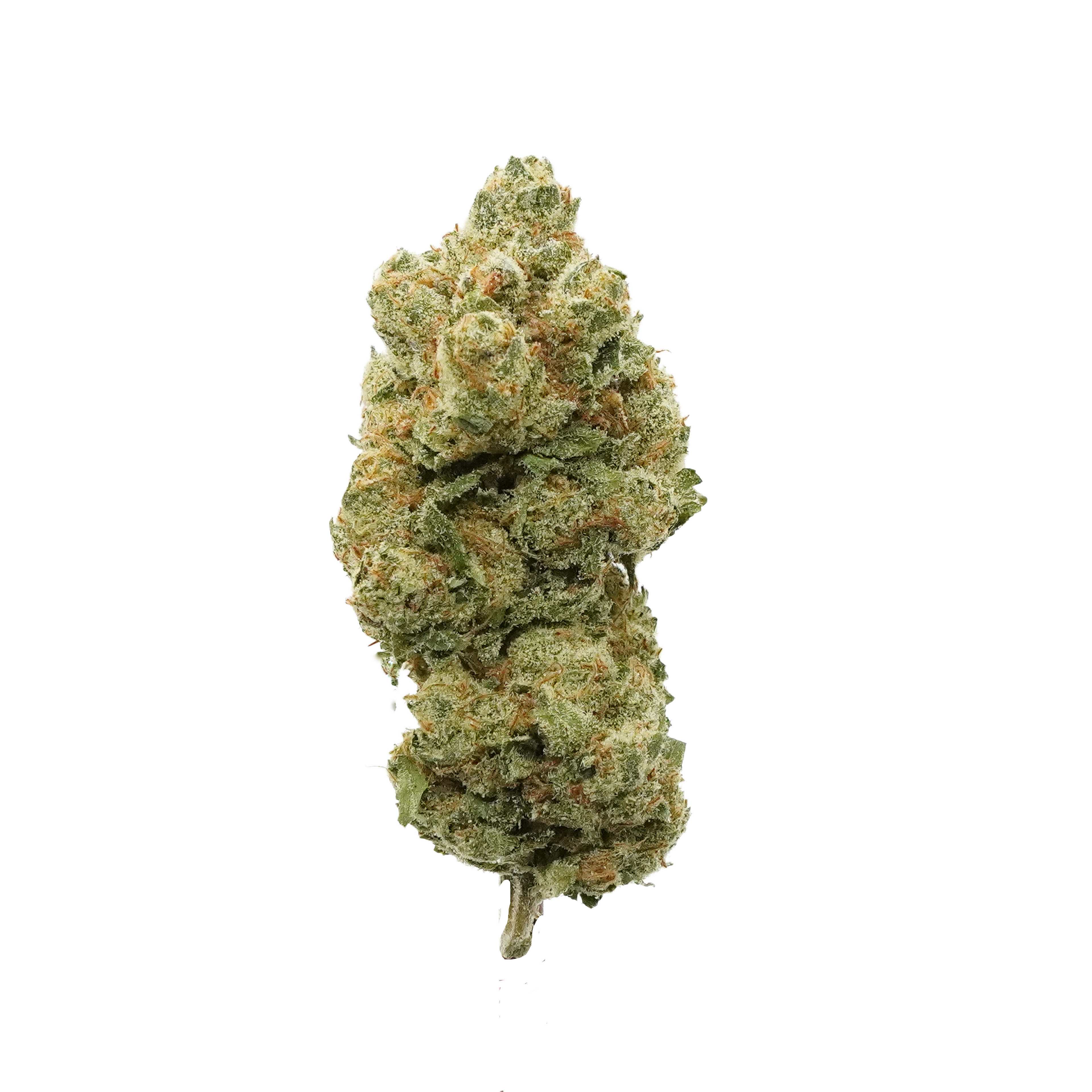 Stardawg Guava - Sativa