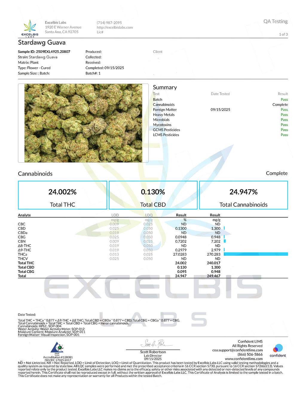 Stardawg Guava - Sativa